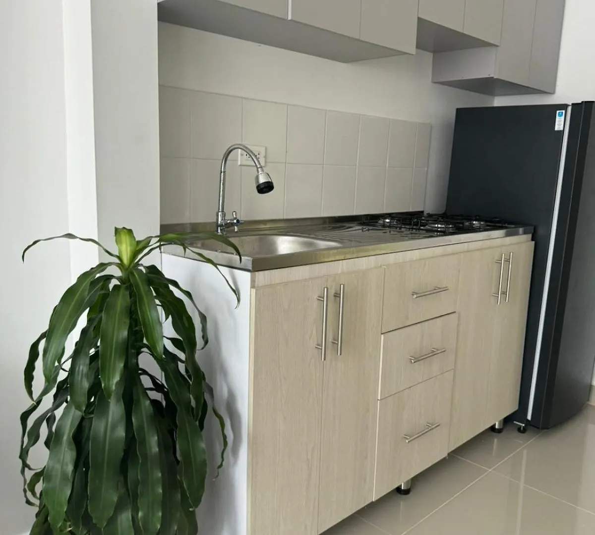 Apartamentos Cartagena Acuarium 0*,
